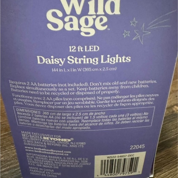 Wild sage, Daisy 12 foot LED string lights battery operated - Picture 3 of 3